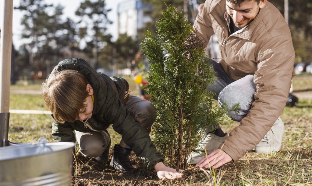 Young boy and his father planting a tree outdoors
